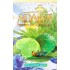 Табак для кальяна Adalya Coldest Green (Адалия Колдест Грин) 50г купить в Москве